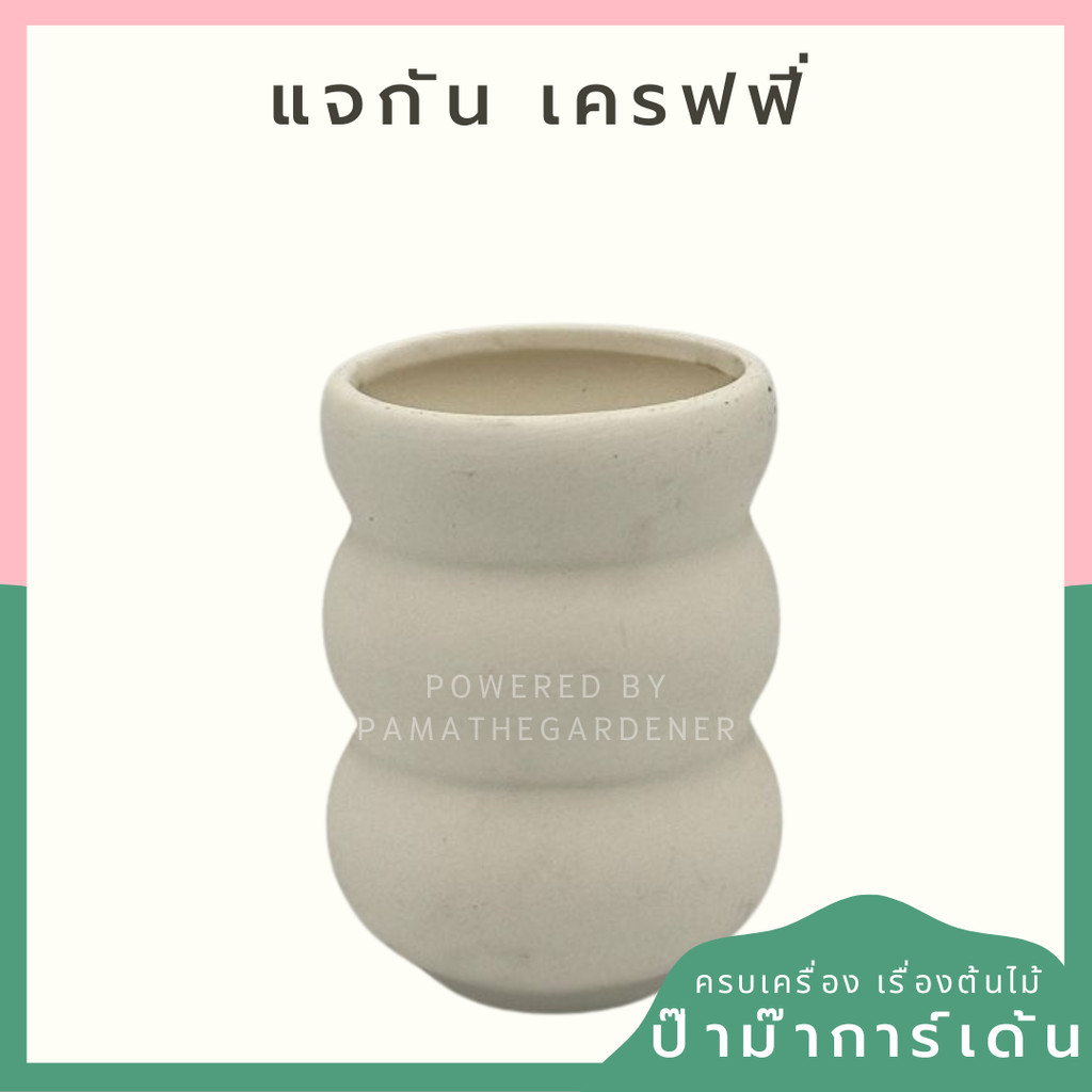 แจกัน เครฟฟี่ กระถางเลี้ยงไม้น้ำ เครฟฟี่