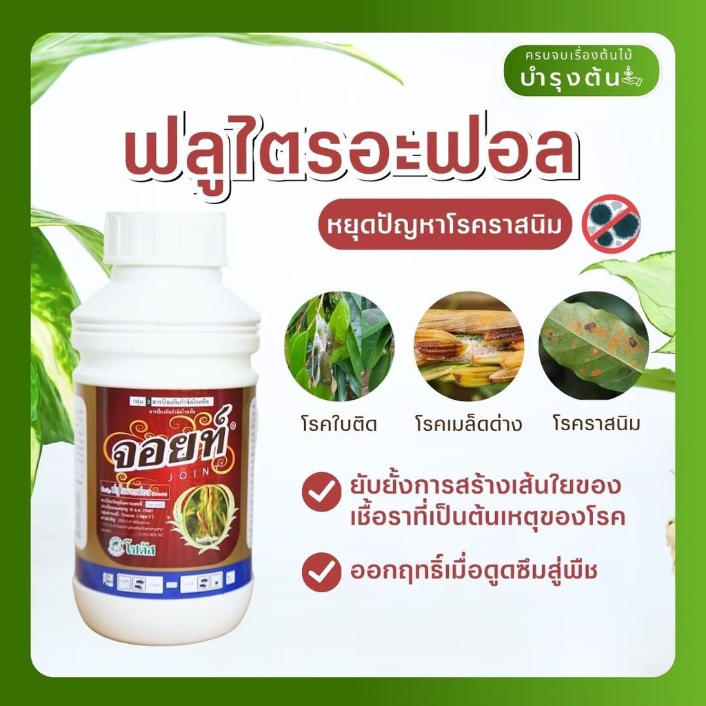 จอยท์  ฟลูไตรอะฟอล – ป้องกันกำจัดโรคเชื้อรา ใบจุด ใบไหม้ รากเน่า โคนเน่า