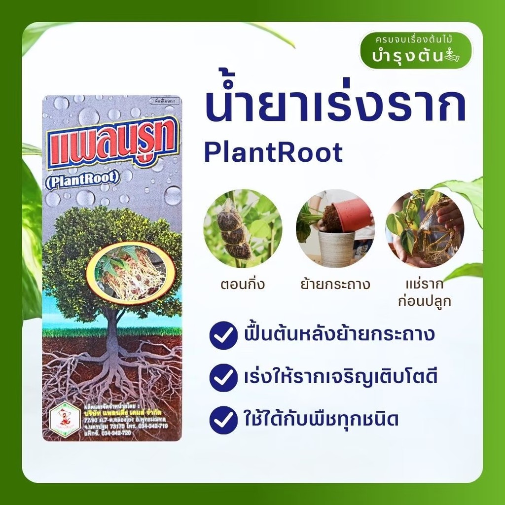 แพลนรูท – Plan Root – ฮอร์โมนเร่งราก – กระตุ้นรากใหม่ รากเดินไว ใช้ชำกิ่ง ย้ายปลูก ฟื้นฟูราก