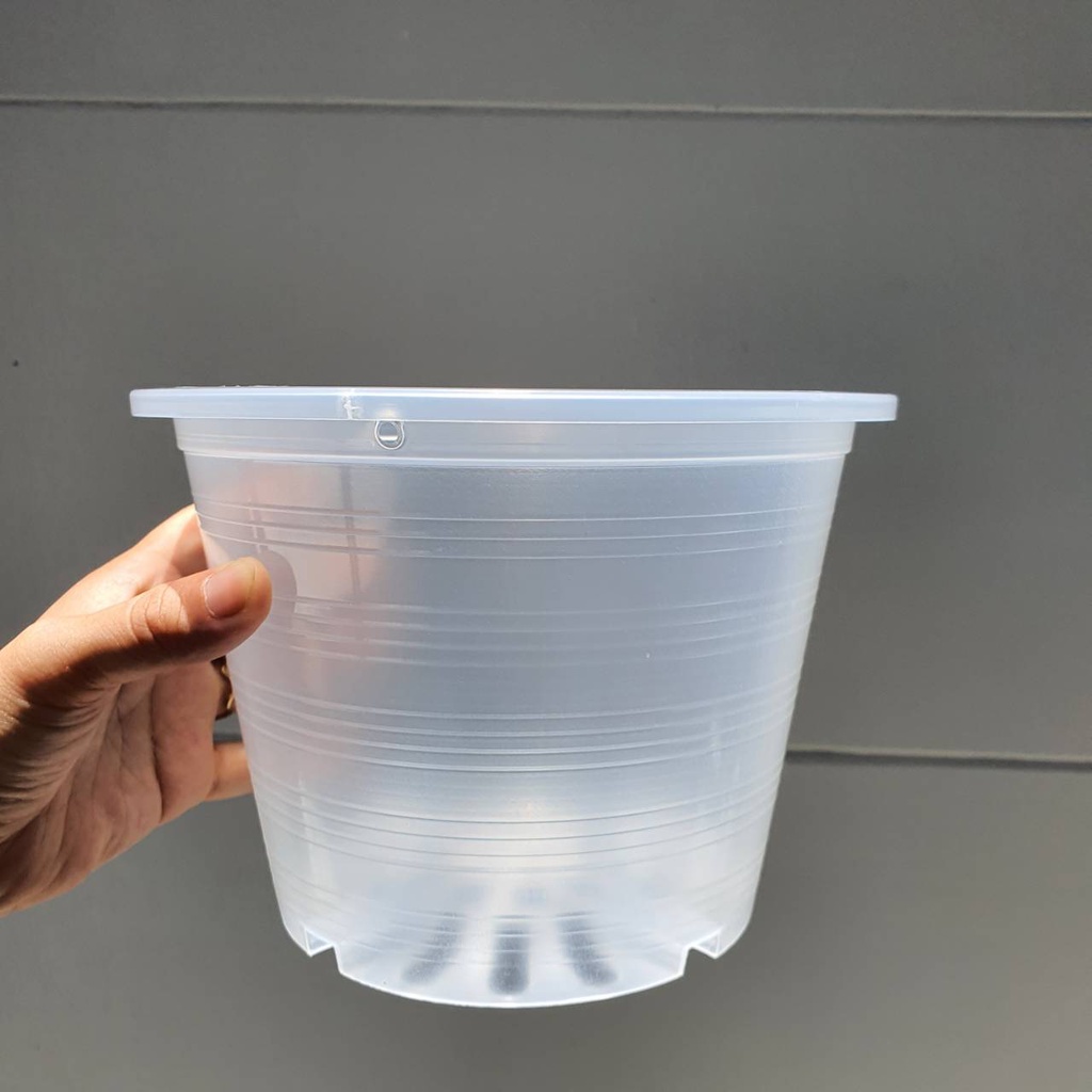 กระถางพลาสติกใสโชว์ราก ขนาด 8 นิ้ว – Clear Plastic Pot