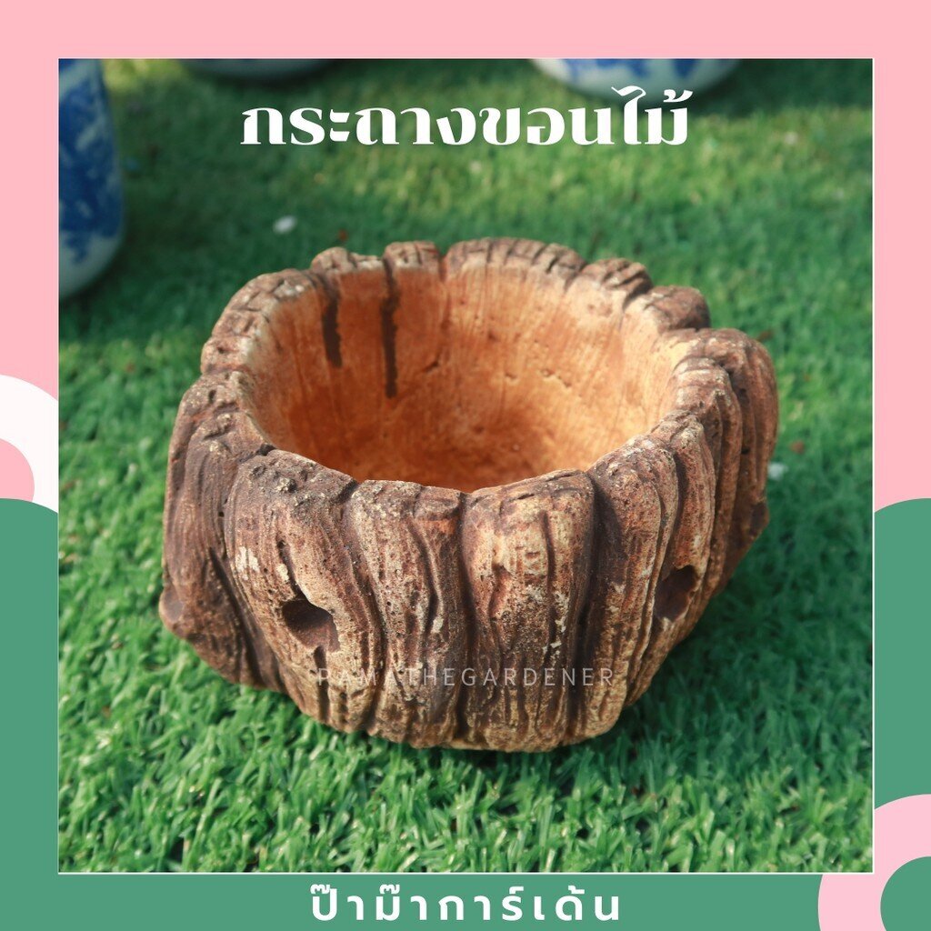 กระถางขอนไม้ ทรงคลาสสิค