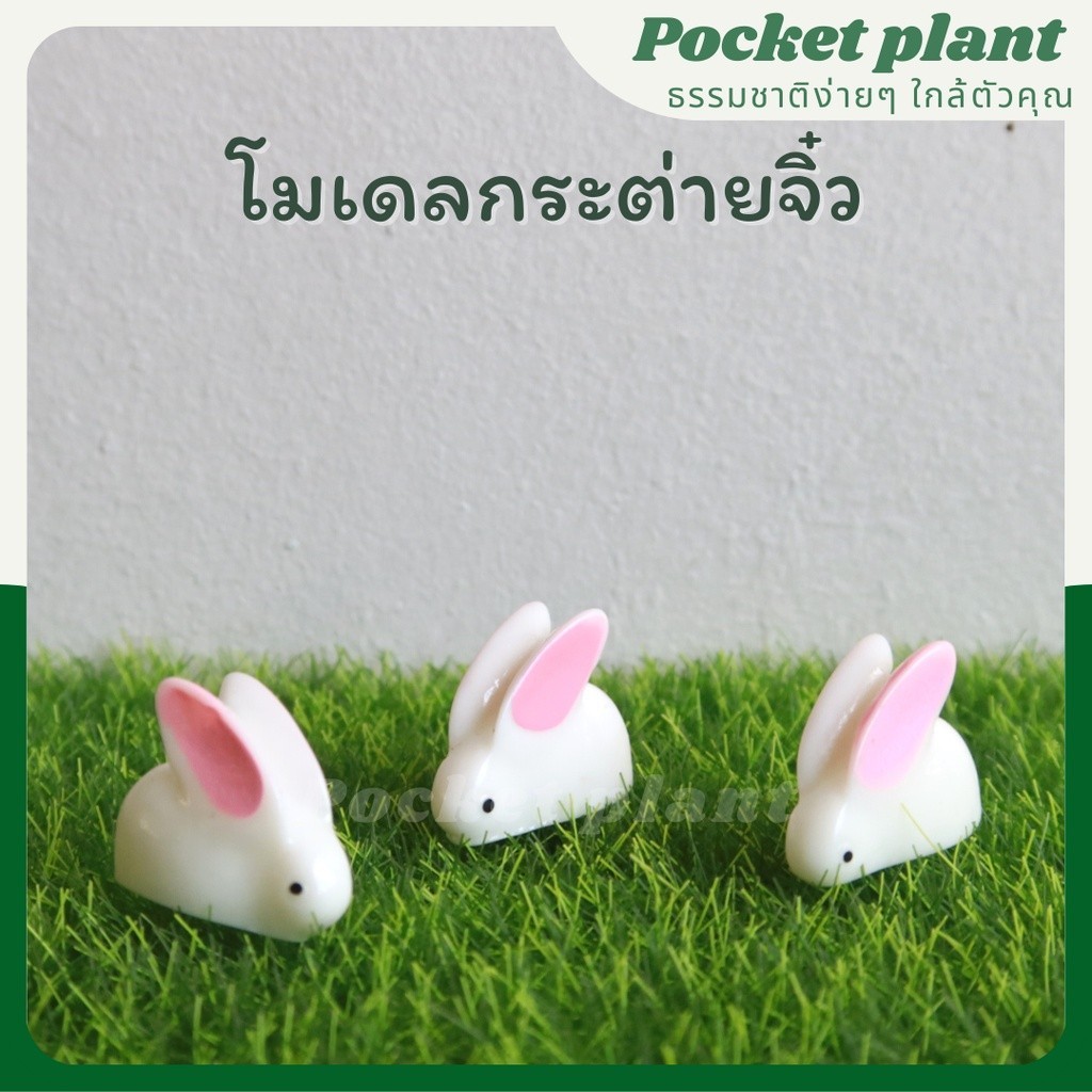สัตว์ตัวจิ๋ว ตุ๊กตาแต่งสวนจิ๋ว จัดสวนถาด โมเดลบ้านจิ๋ว [DolA-XS-002]