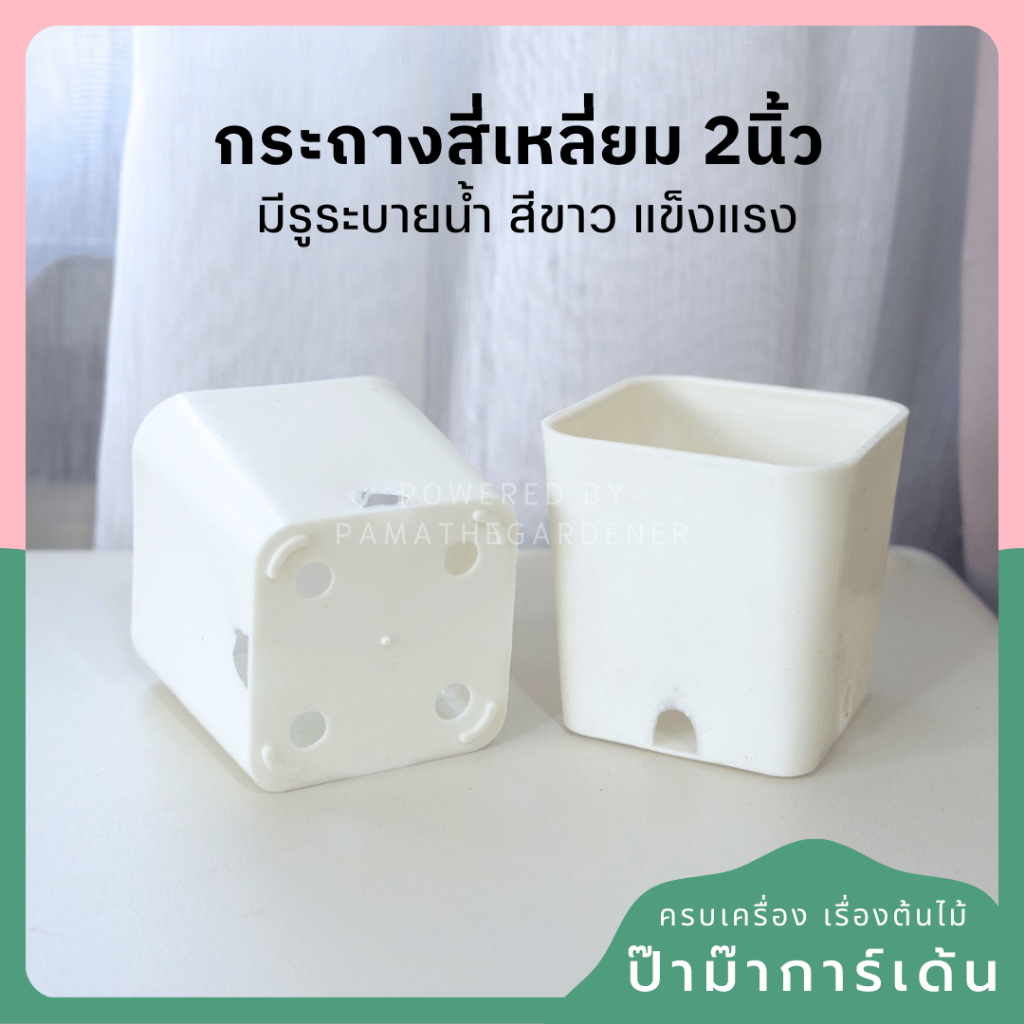 กระถางพลาสติก 2 นิ้ว สี่เหลี่ยม พร้อมรูระบายน้ำ (พร้อมส่ง)