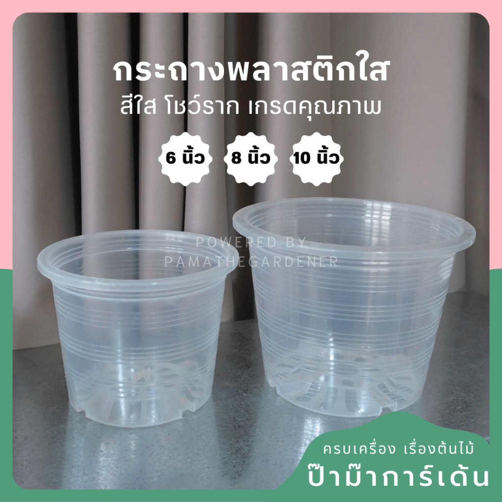 กระถางพลาสติกใสโชว์ราก 6 นิ้ว 8 นิ้ว 10 นิ้ว – Clear Plastic Pot (พร้อมส่ง)