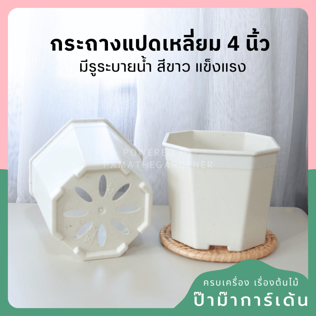 กระถางแปดเหลี่ยม 4 นิ้ว (พร้อมส่ง)