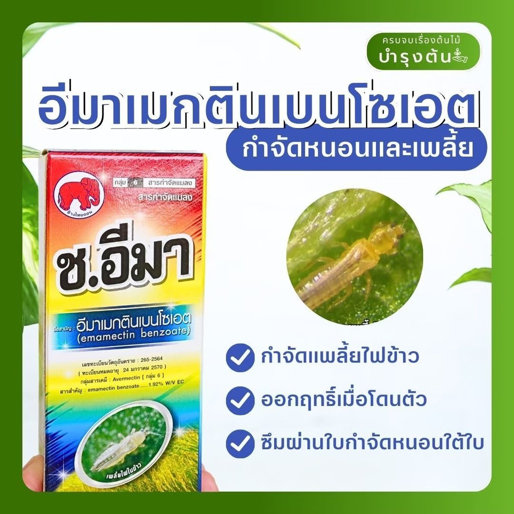 ช.อีมา – อีมาเมกติน เบนโซเอต – กำจัดหนอนกินใบ หนอนชอนใบ หนอนเจาะ